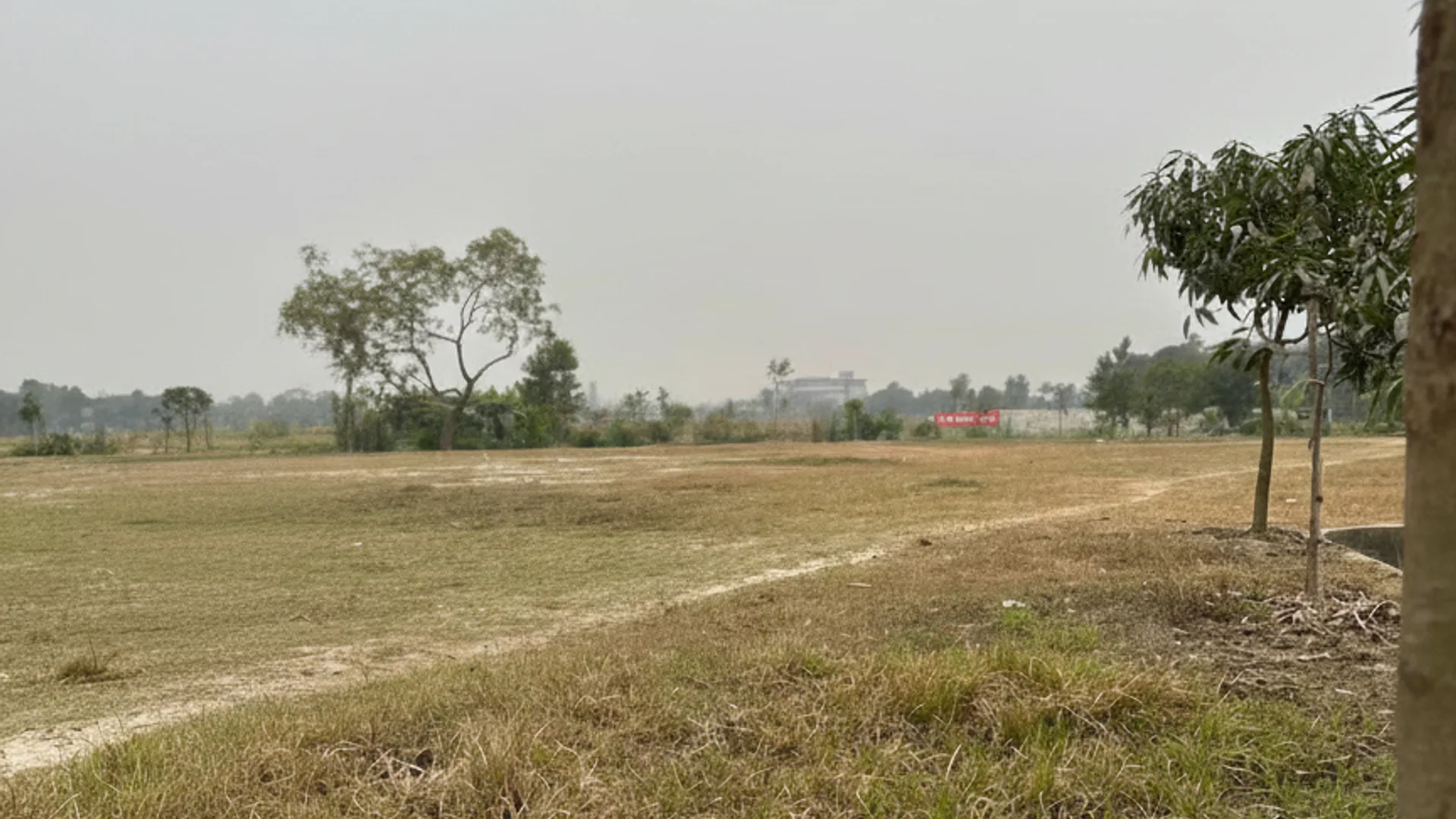 Chandra Chaya